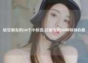 给女朋友的100个小惊喜(女朋友的100种特别心意)