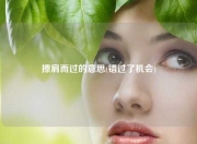 擦肩而过的意思(错过了机会)
