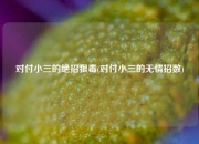 对付小三的绝招狠毒(对付小三的无情招数)