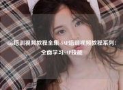 sap培训视频教程全集-SAP培训视频教程系列：全面学习SAP技能