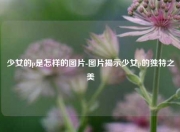少女的p是怎样的图片-图片揭示少女p的独特之美