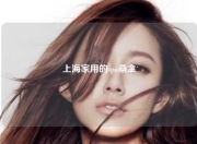 上海家用的spa桑拿