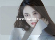 上海宝山非正规油压