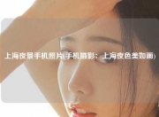 上海夜景手机照片(手机摄影：上海夜色美如画)