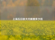上海五日游大约需要多少钱