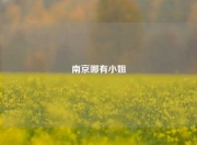 南京哪有小姐