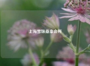 上海雪妹桑拿会所