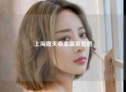 上海露天桑拿温泉价格