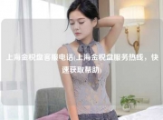 上海金税盘客服电话(上海金税盘服务热线，快速获取帮助)