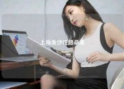 上海金沙江路桑拿