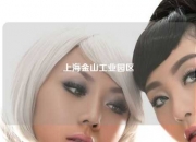上海金山工业园区
