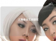 上海金山工业园区