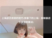 上海适合夜游的地方(夜幕下的上海：探秘最适合夜游的景点)