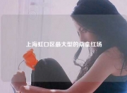 上海虹口区最大型的桑拿红场