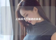 上海淳大万丽酒店桑拿