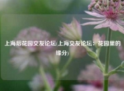 上海后花园交友论坛(上海交友论坛：花园里的缘分)