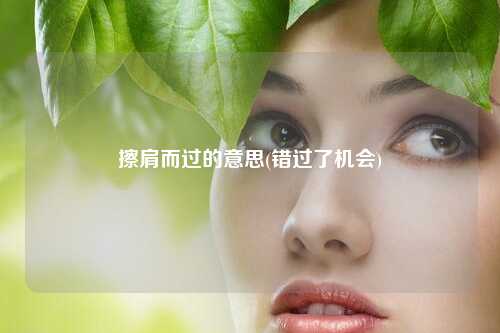 擦肩而过的意思(错过了机会)