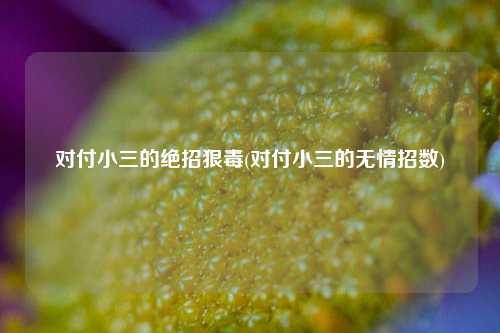对付小三的绝招狠毒(对付小三的无情招数)