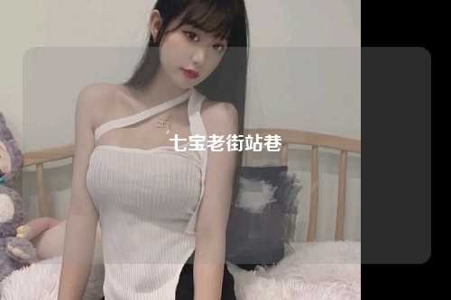 七宝老街站巷