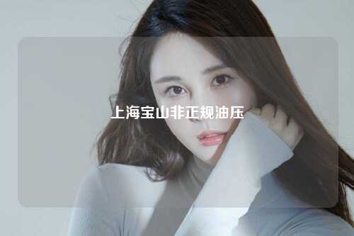 上海宝山非正规油压