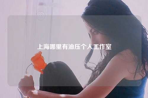 上海哪里有油压个人工作室