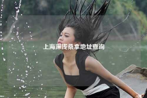 上海深浅桑拿地址查询