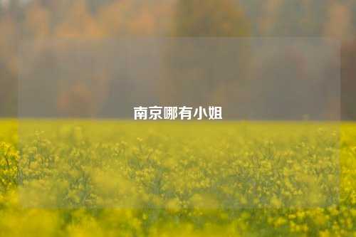 南京哪有小姐