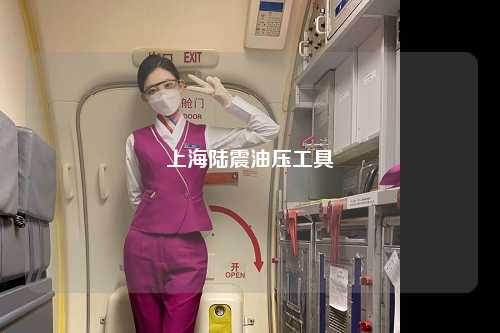 上海陆震油压工具