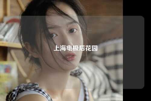 上海电极后花园