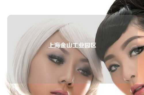 上海金山工业园区
