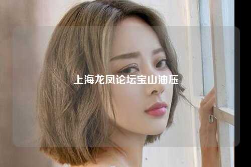 上海龙凤论坛宝山油压