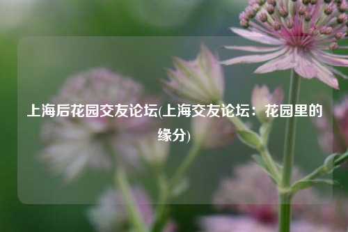上海后花园交友论坛(上海交友论坛:花园里的缘分)