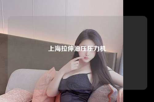 上海拉伸油压压力机