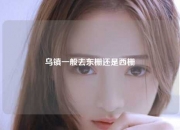 乌镇一般去东栅还是西栅