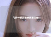 乌镇一般去东栅还是西栅