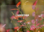 上海那美女最多