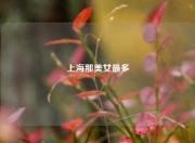 上海那美女最多