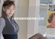 上海苏州南京旅游攻略三日游