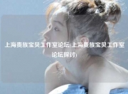 上海贵族宝贝工作室论坛(上海贵族宝贝工作室论坛探讨)