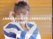 上海贵族宝贝1314花千坊(上海贵族宝贝花千坊优化技巧与攻略)