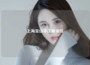 上海宝山非正规油压