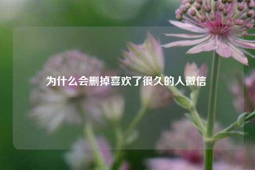 为什么会删掉喜欢了很久的人微信 